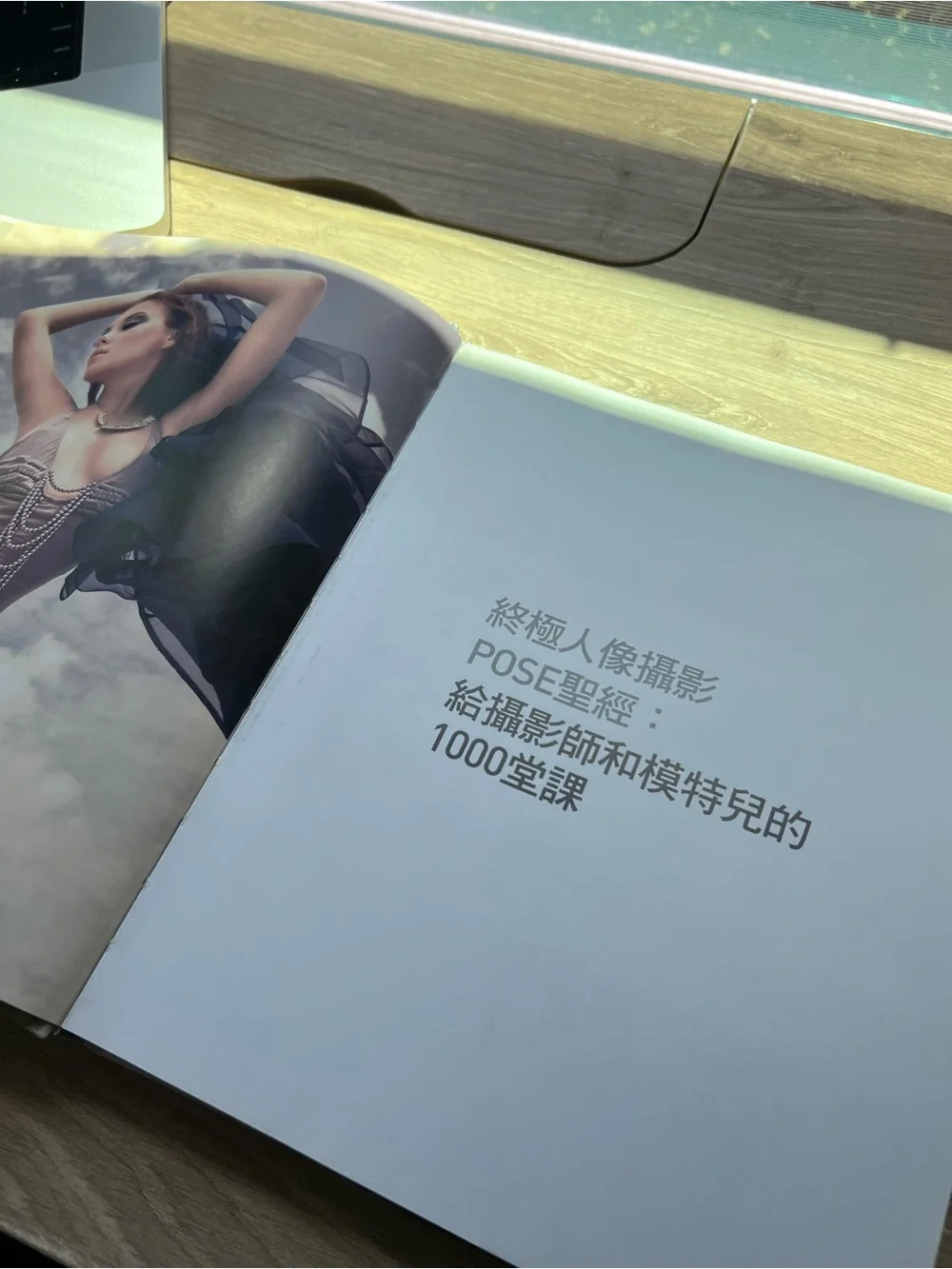 Photographing Models 1000 Poses Eliot Siegel Chinese Edition Photography Book